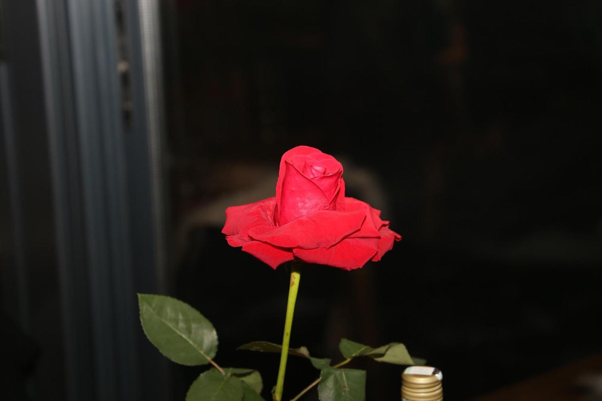 Sipovo Domacinstvo Na Kraju Svijetaゲストハウス エクステリア 写真